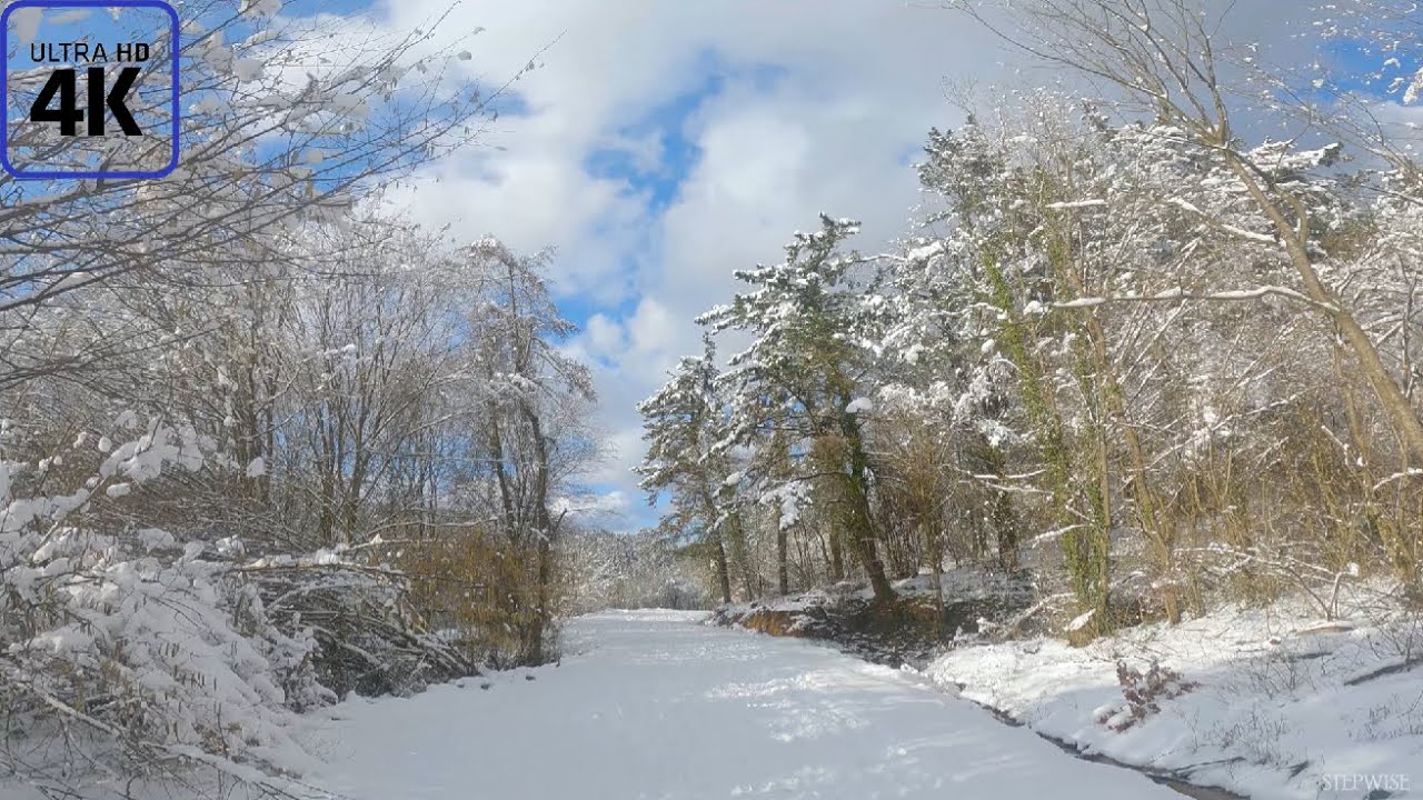 4K - Polonezköy Tabiat Parkında Harika Bir Gün, In the Nature Park, İstanbul