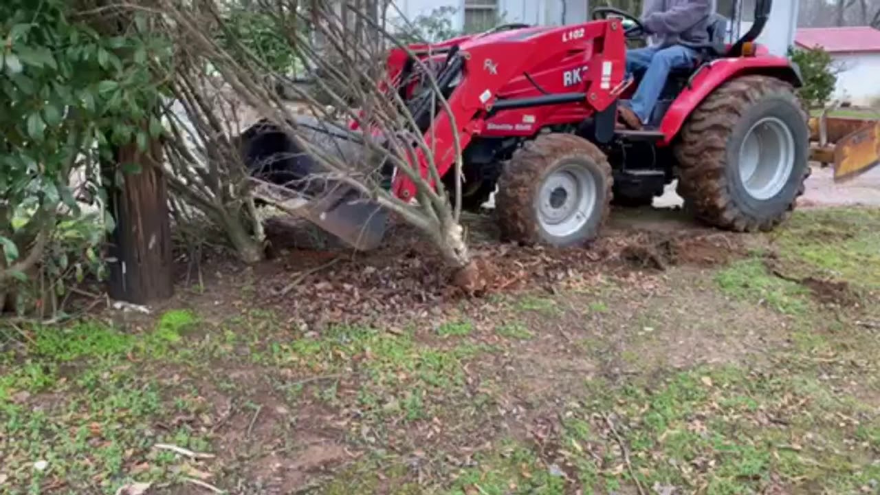 Removing Bushes with the RK-37