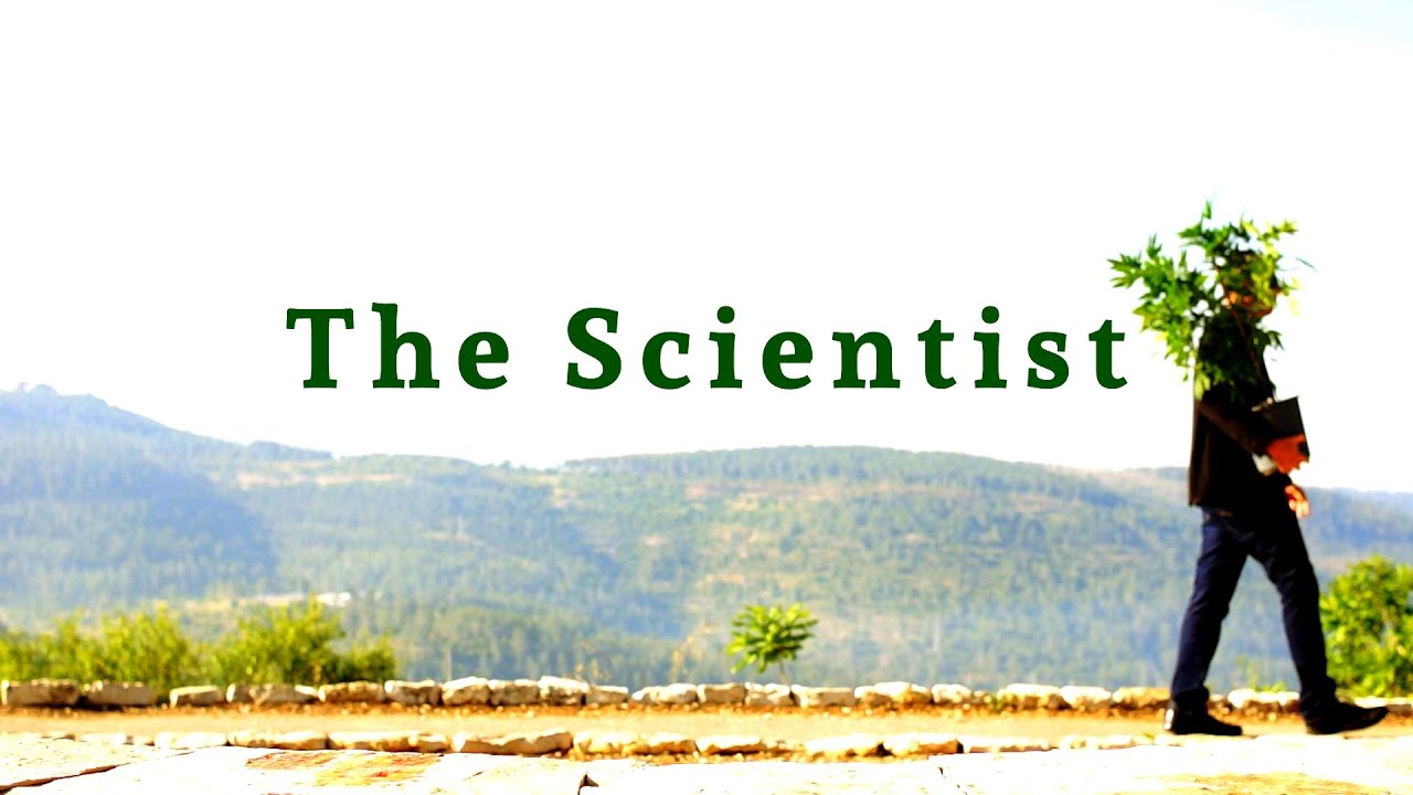 The Scientist - Hebrew subtitles - המדען - רפאל משולם