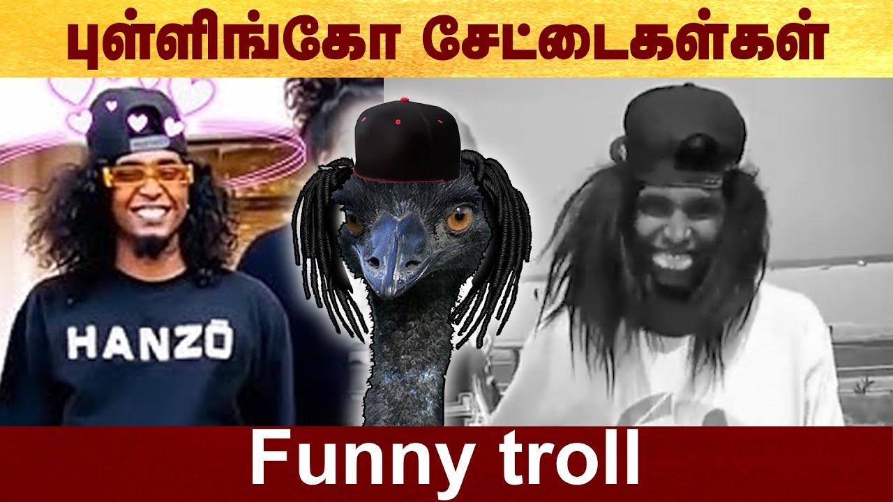 புள்ளிங்கோ சேட்டைகள்கள் - Funny troll #troll | #funny | #pullingo