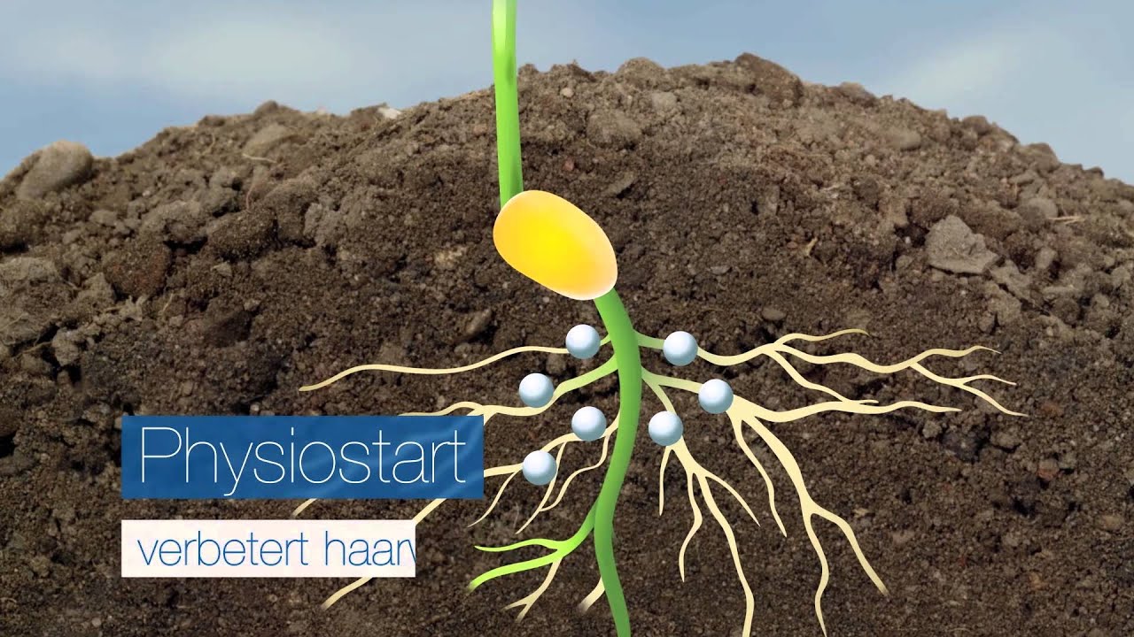 Physiostart Timac Agro NL