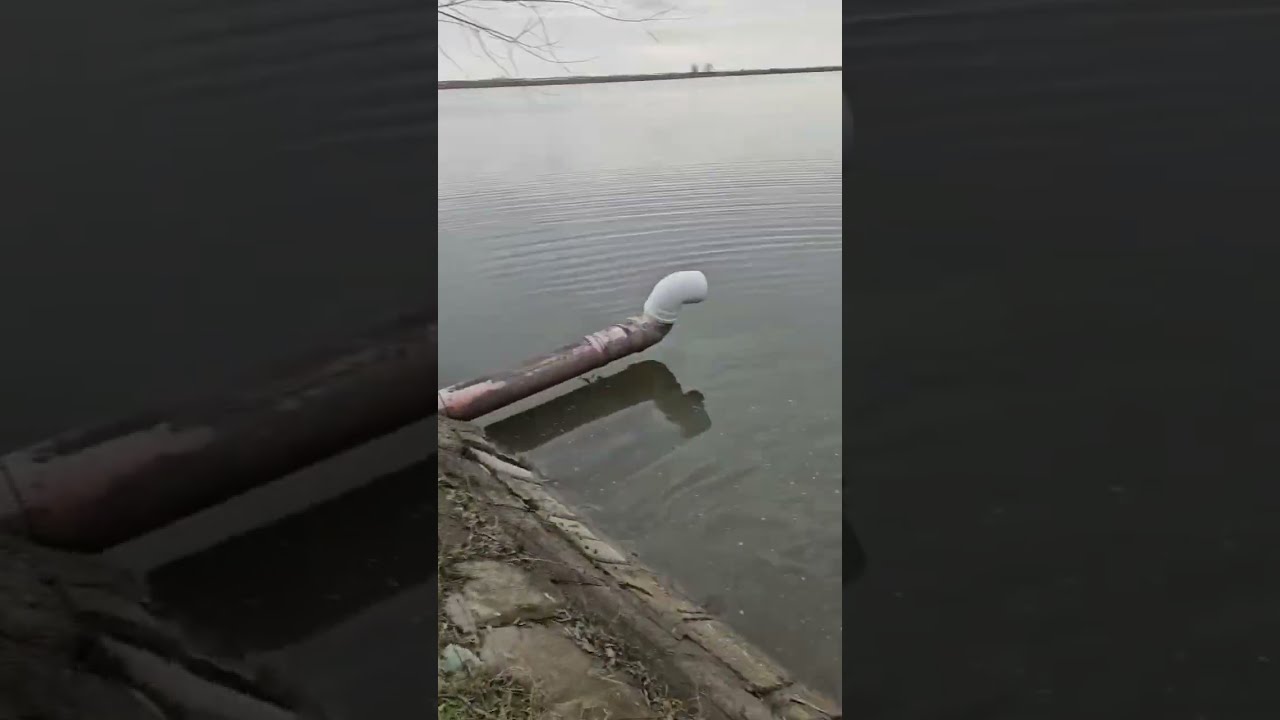 25 FEBRUARIE 2025 Ferma Piscicola Însurăței 2