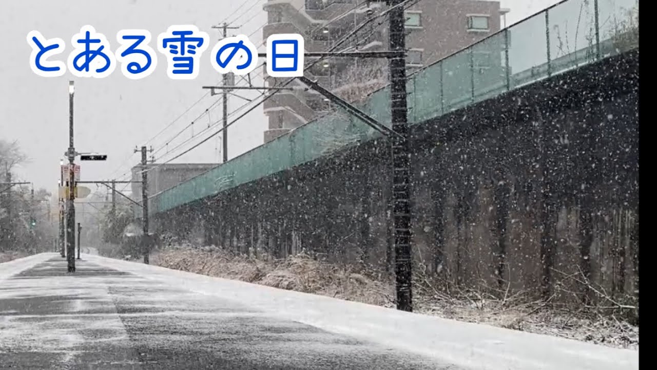 （手が死んだ）とある雪の日の外房線