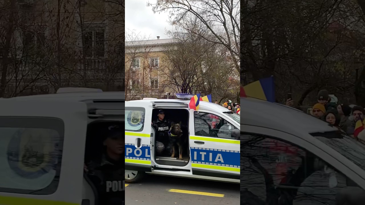 Ziua Națională a Rom&acirc;niei!🇷🇴#1decembrie #romania #bucuresti  #respect #parade #history #tradition