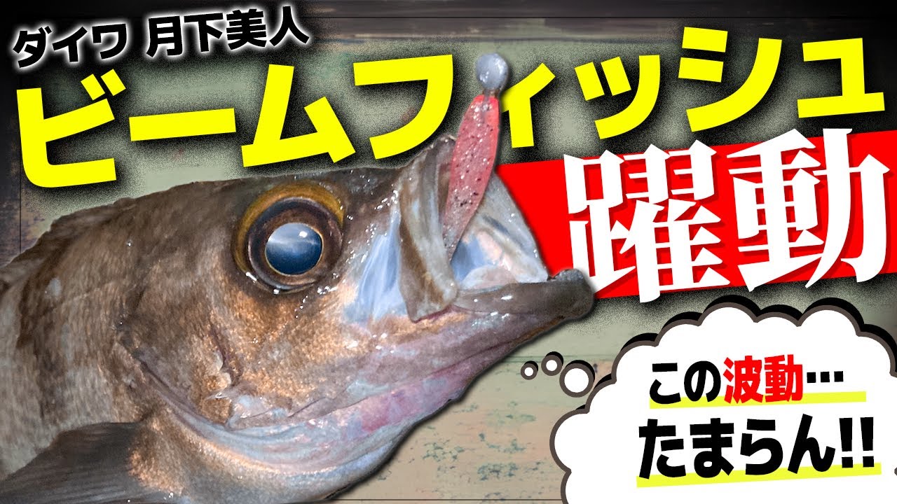 【メバリング】巨メバル獲るなら絶対持っておきたいワームがコレ【淡路島】