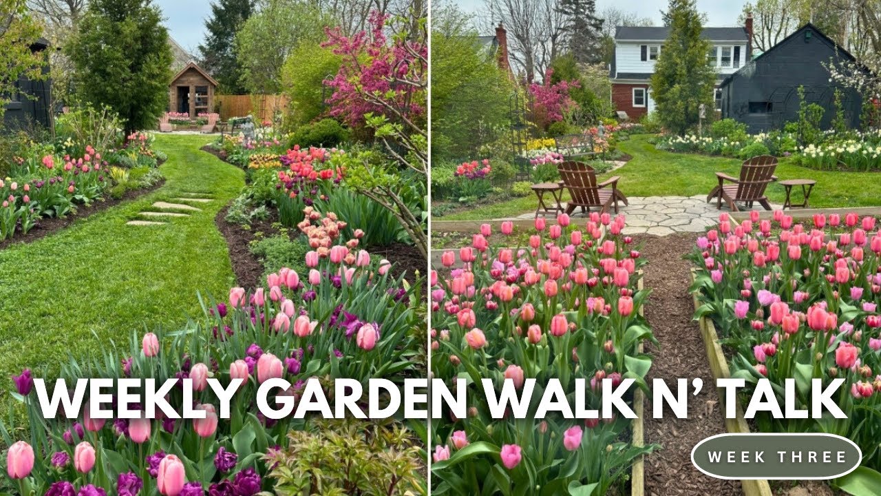 APRIL GARDEN TOUR 2024 // Spring Bulb Tour // Weekly Garden Walk N' Talk // Northlawn Flower Farm