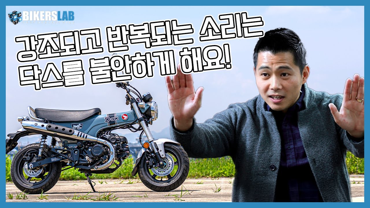 [4K] 시내는 작은게 장땡! 귀여운 닥스훈트 ST125 시승기🐕