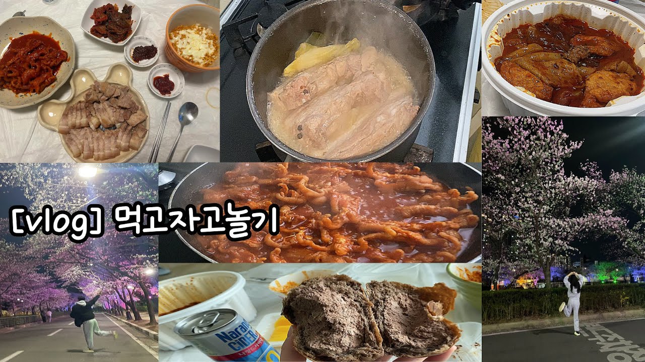 [Vlog] 먹고놀기/ 독도포차/ 대구 놀거리/ 술먹방/ 수육먹방/ 닭발먹방/ 마라엽떡/ 이월드벚꽃/ 대구벚꽃명소/ 대구벚꽃