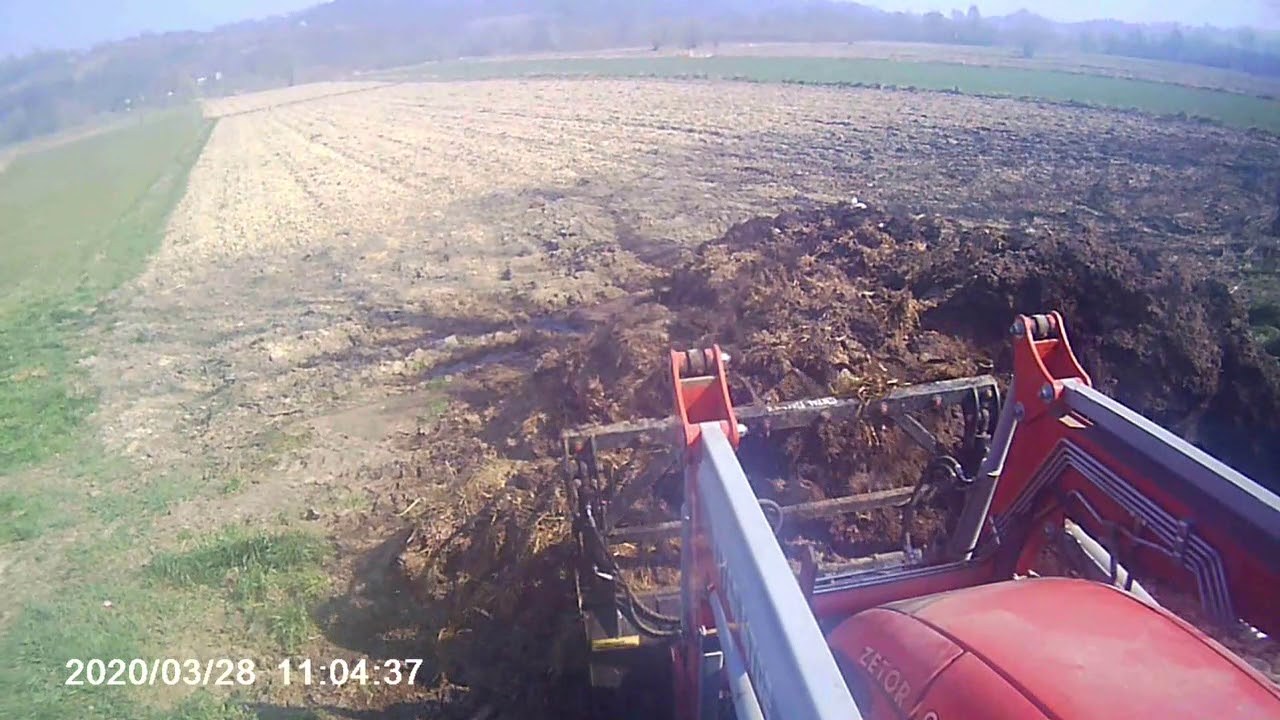 Ursus 3512 + Warfama 3,5t & Zetor forterra 9641 czili obornik pod kukurydzę 2020