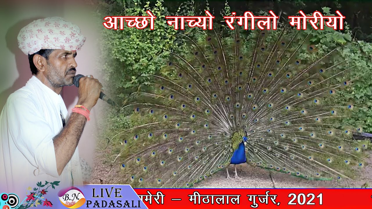 2021 देव धणी के दरबार आच्छो नाच्यो रंगीलो मोरियो मीठालाल ने गाई मोरिया की लूर