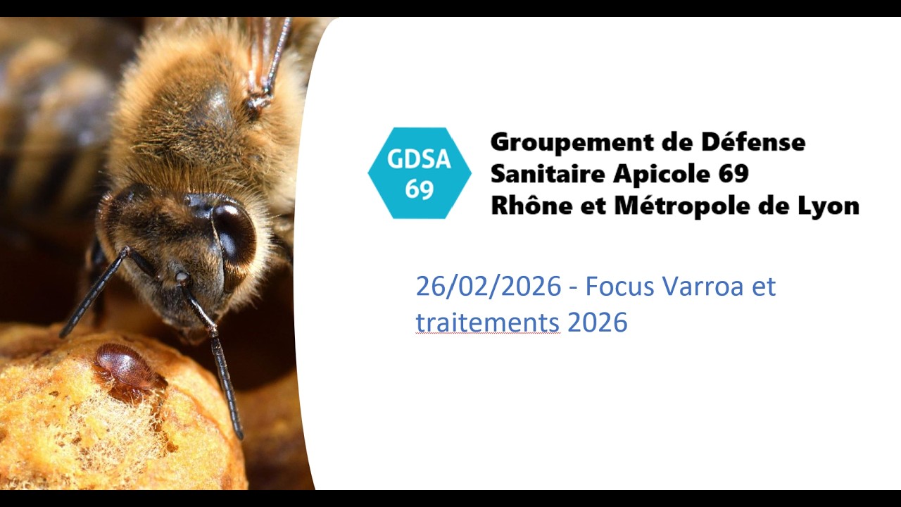 GDSA69 - webinaire varroa / Cycle de développement / médicaments 2026 - 26/02/2026