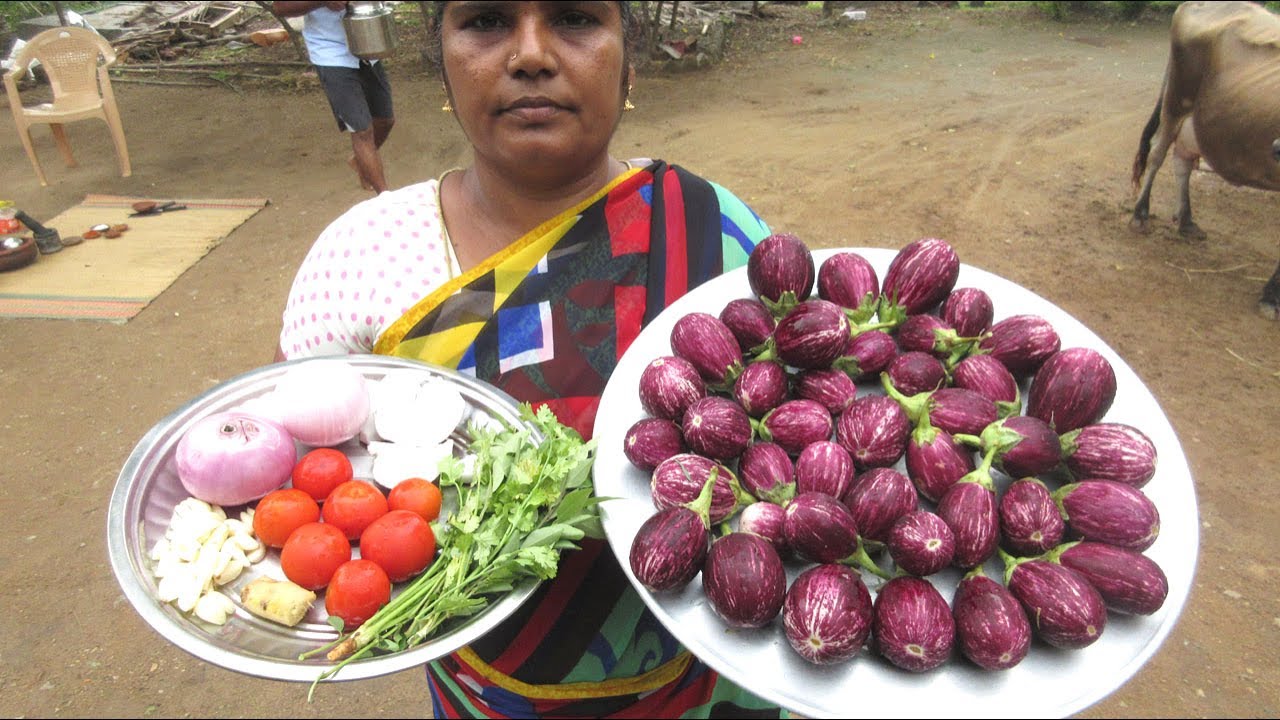 Fresh Brinjal Cooking Fry and Curry Recipe | Same Time Cooking Two Variety | VILLAGE FOOD