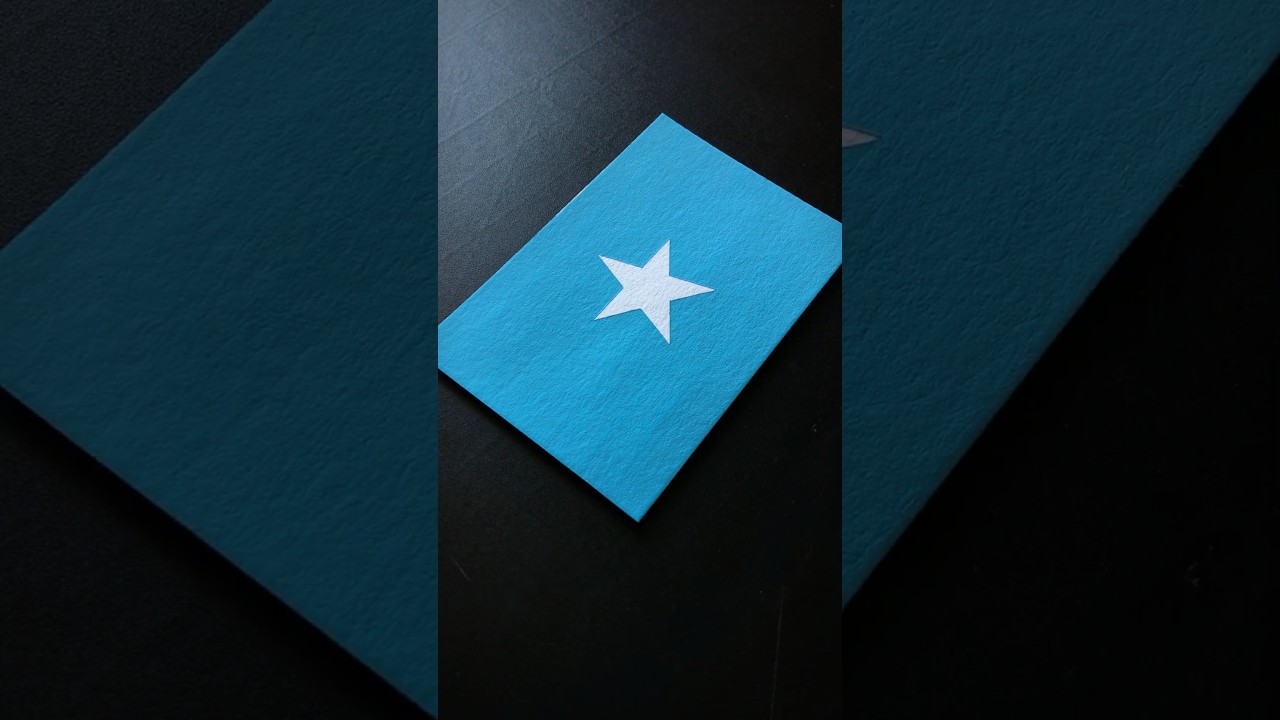 SOMALI 🇸🇴 Flag Drawing #africa #flags #posca #art