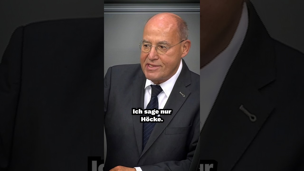 Gregor Gysi Nimmt Die AfD KOMPLETT AUSEINANDER!