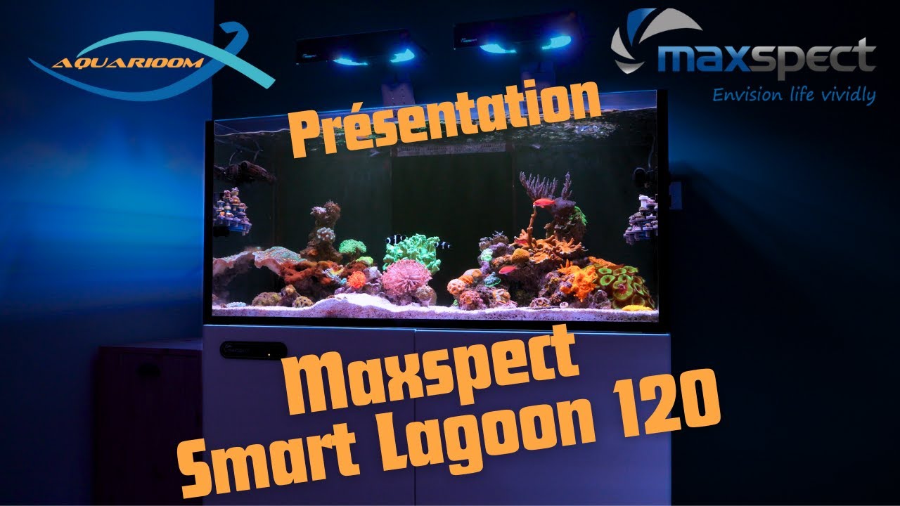 Maxspect Smart Lagoon 120 - Présentation
