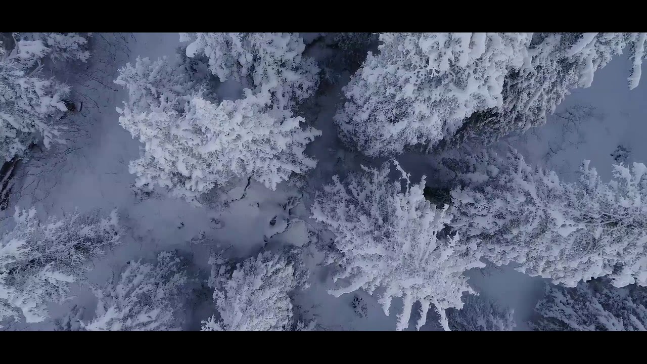 The Beauty Of Nordic Nature