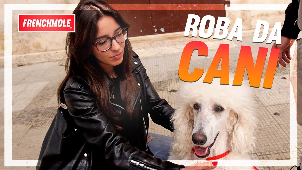 ROBA DA CANI