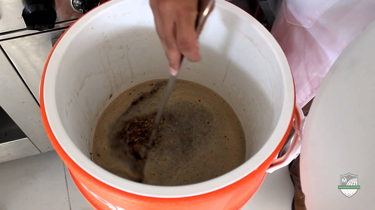 Cerveza artesanal