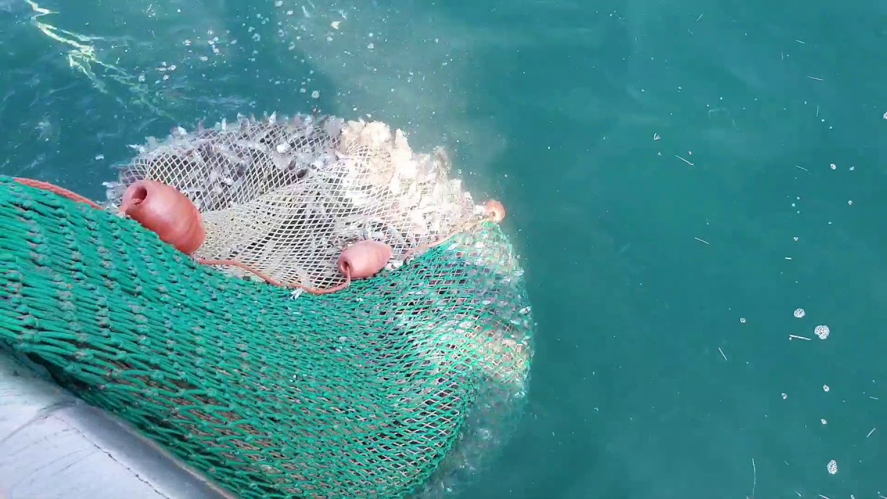 pesca a strascico