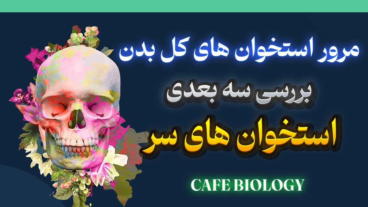 skull  .reviewمروری کلی بر استخوان های بدن وبررسی سه بعدی استخوان های سر