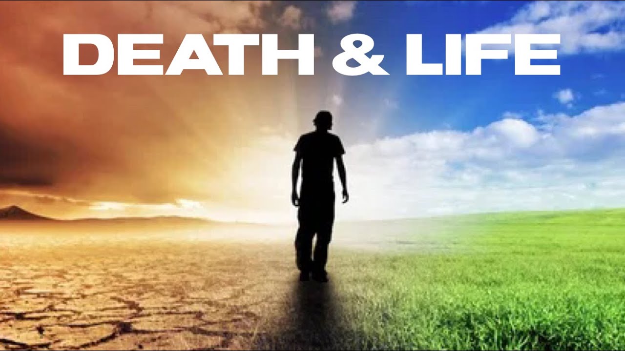 Shadows Of Yeshua; Torah Portion Nitzavim