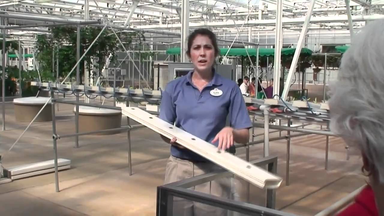 Disney World BEHIND THE SEEDS TOUR (Part 2) Epcot