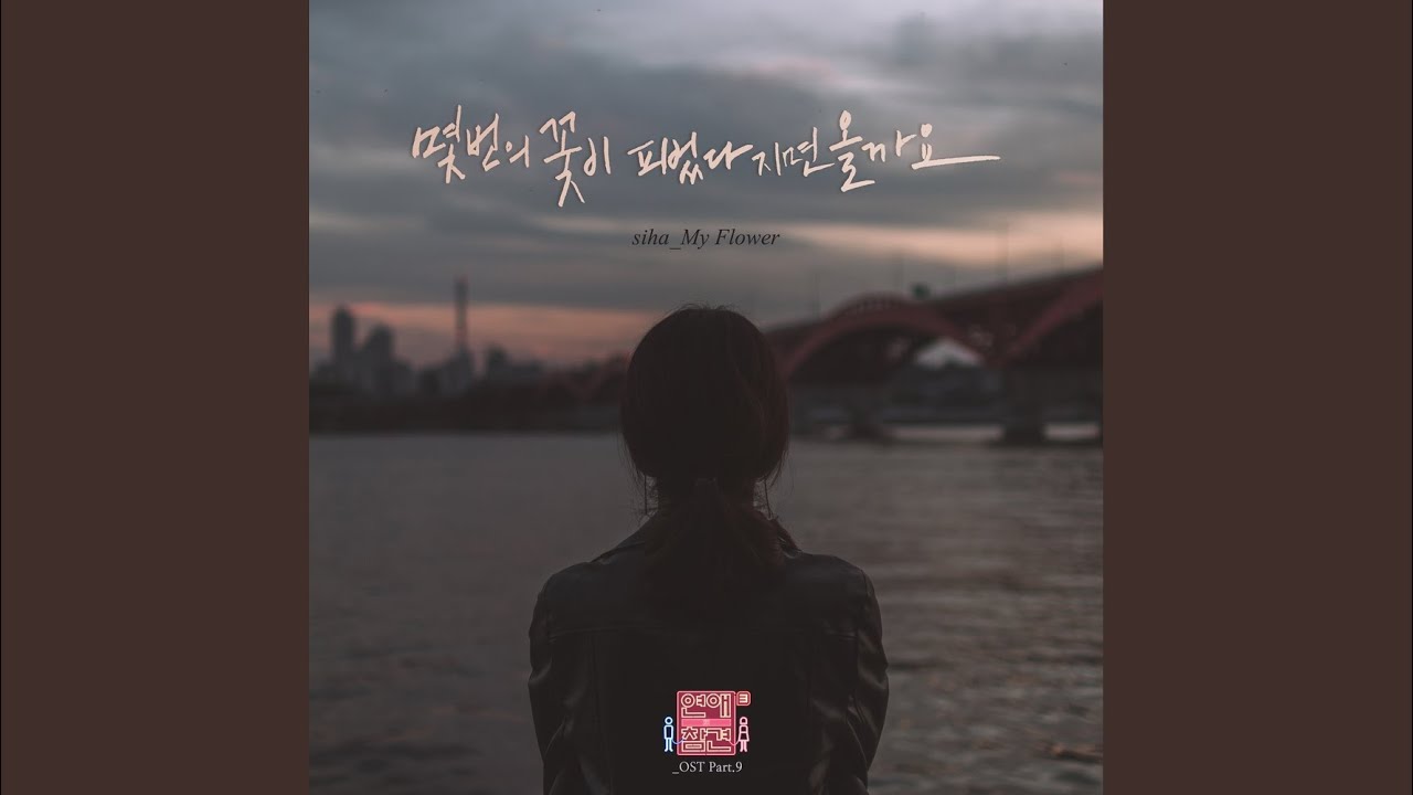몇 번의 꽃이 피었다 지면 올까요