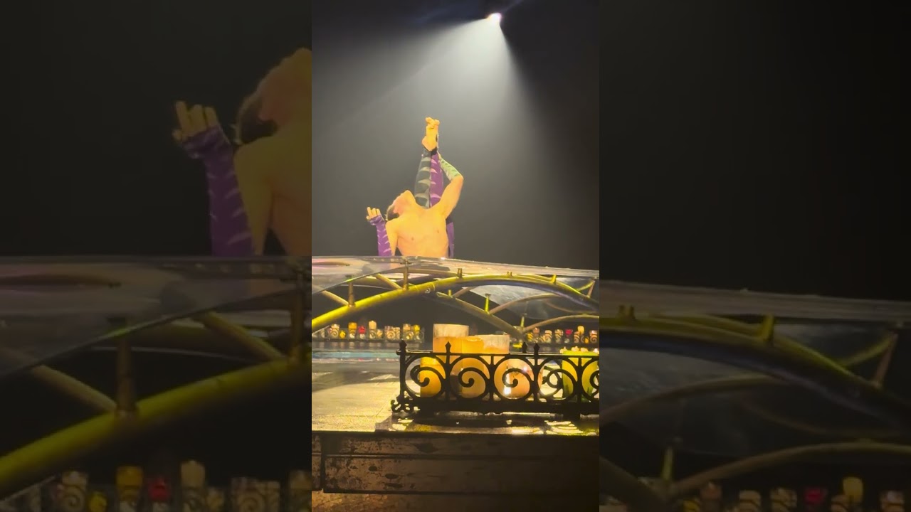 CIRQUE DU SOLEIL LUZIA