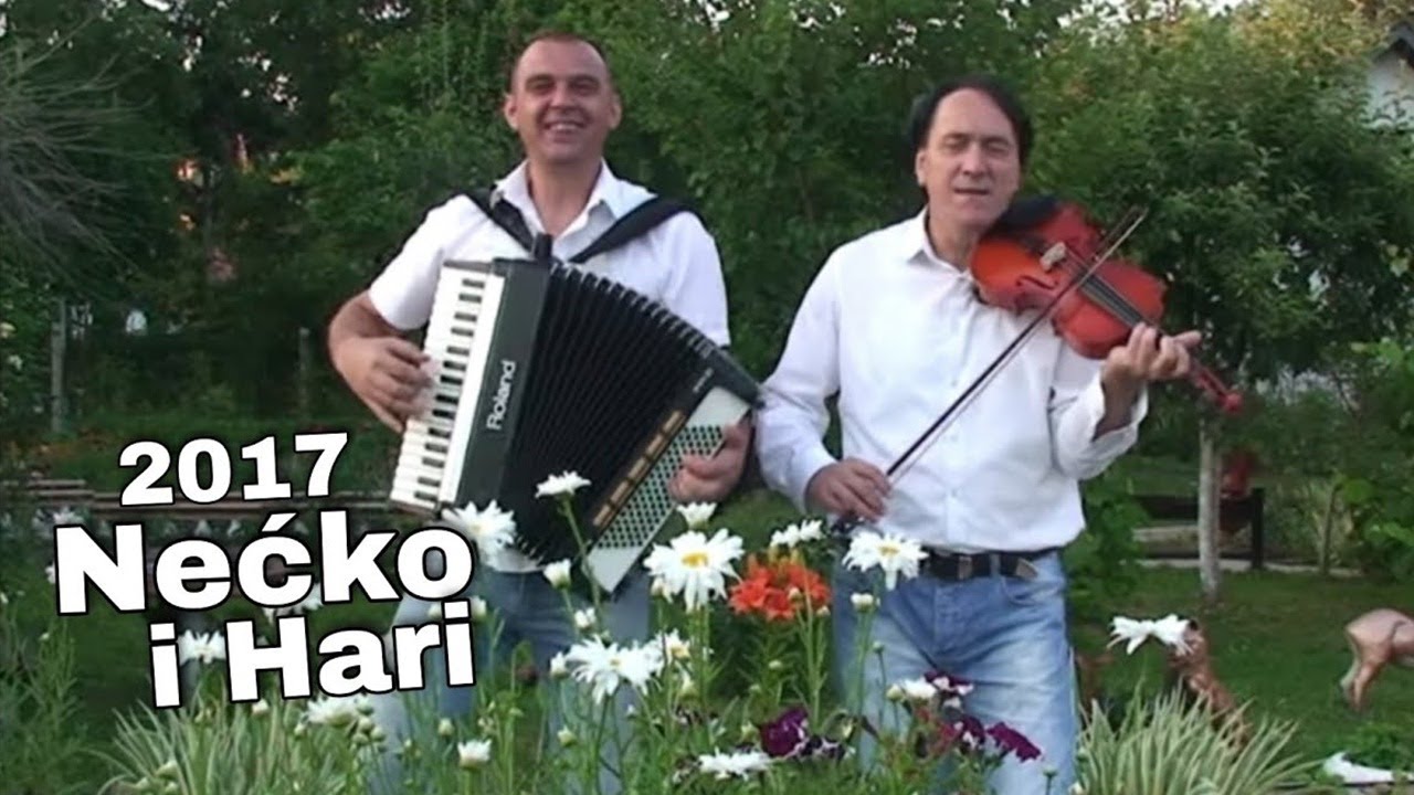 Nećko i Hari - Imam tebe ljepoticu | 2017