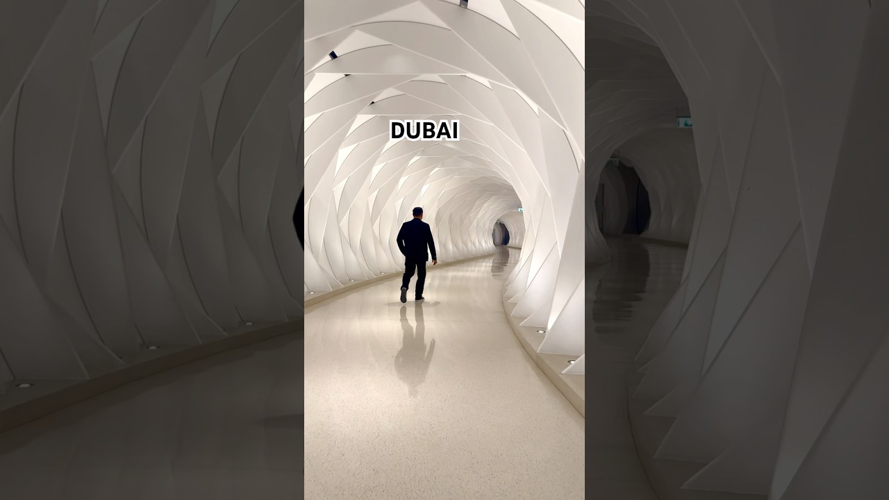 The Dubai Museum of the Future #travel #love #dubaimuseumofthefuture #dubai