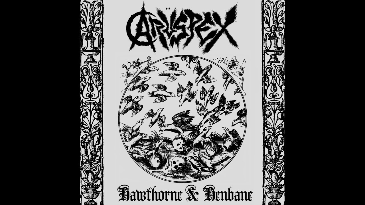 Aruspex - Hawthorne & Henbane (Full-lenght LP) [2023 Crust Punk]