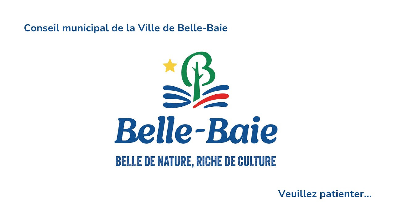 Réunion extraordinaire et session de travail du conseil municipal de Belle-Baie - 3 mars 2026