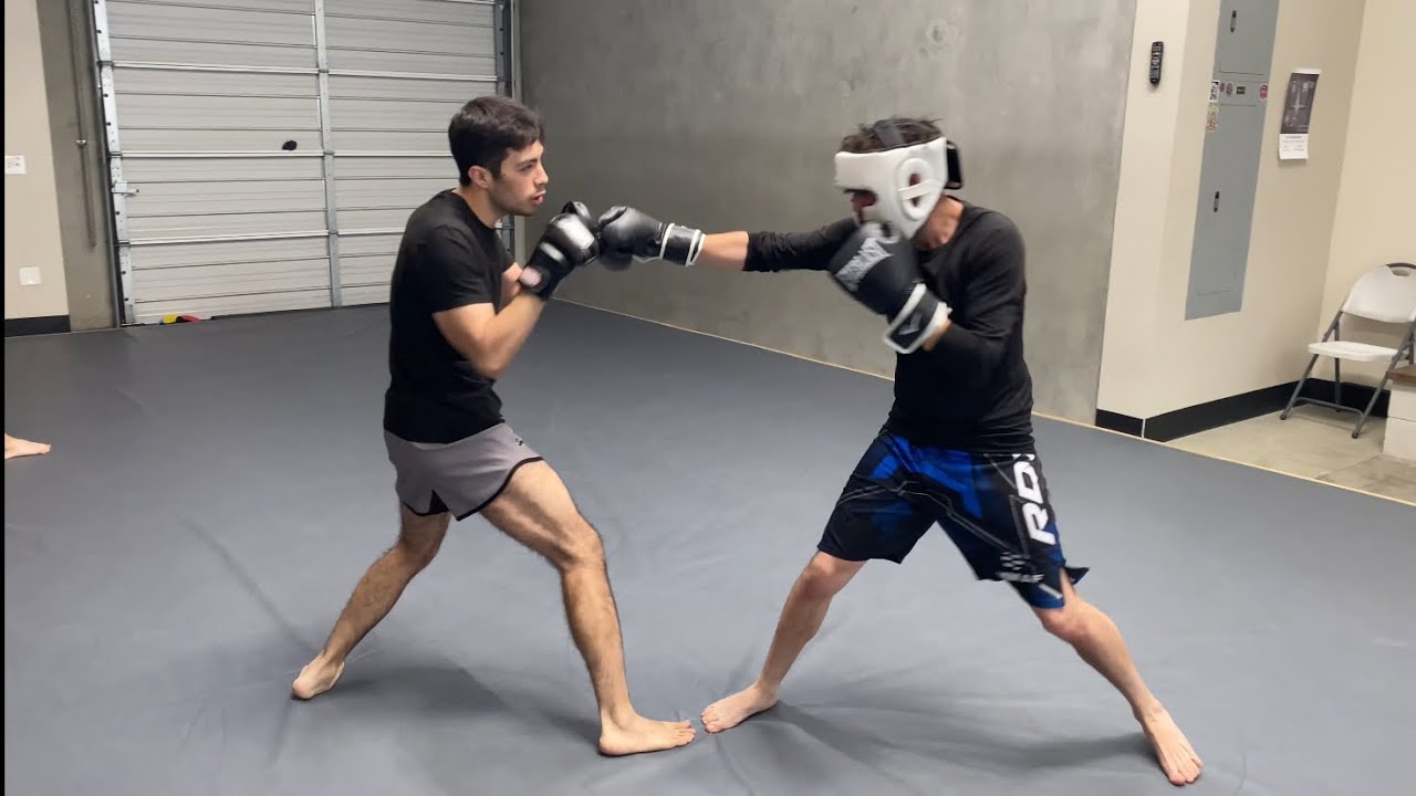 Light Sparring with Friends 