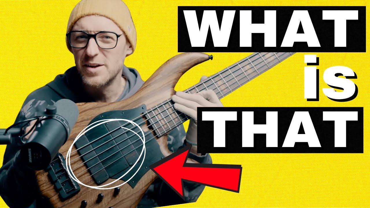 My NEW 5 string arrived. It's INSANE.