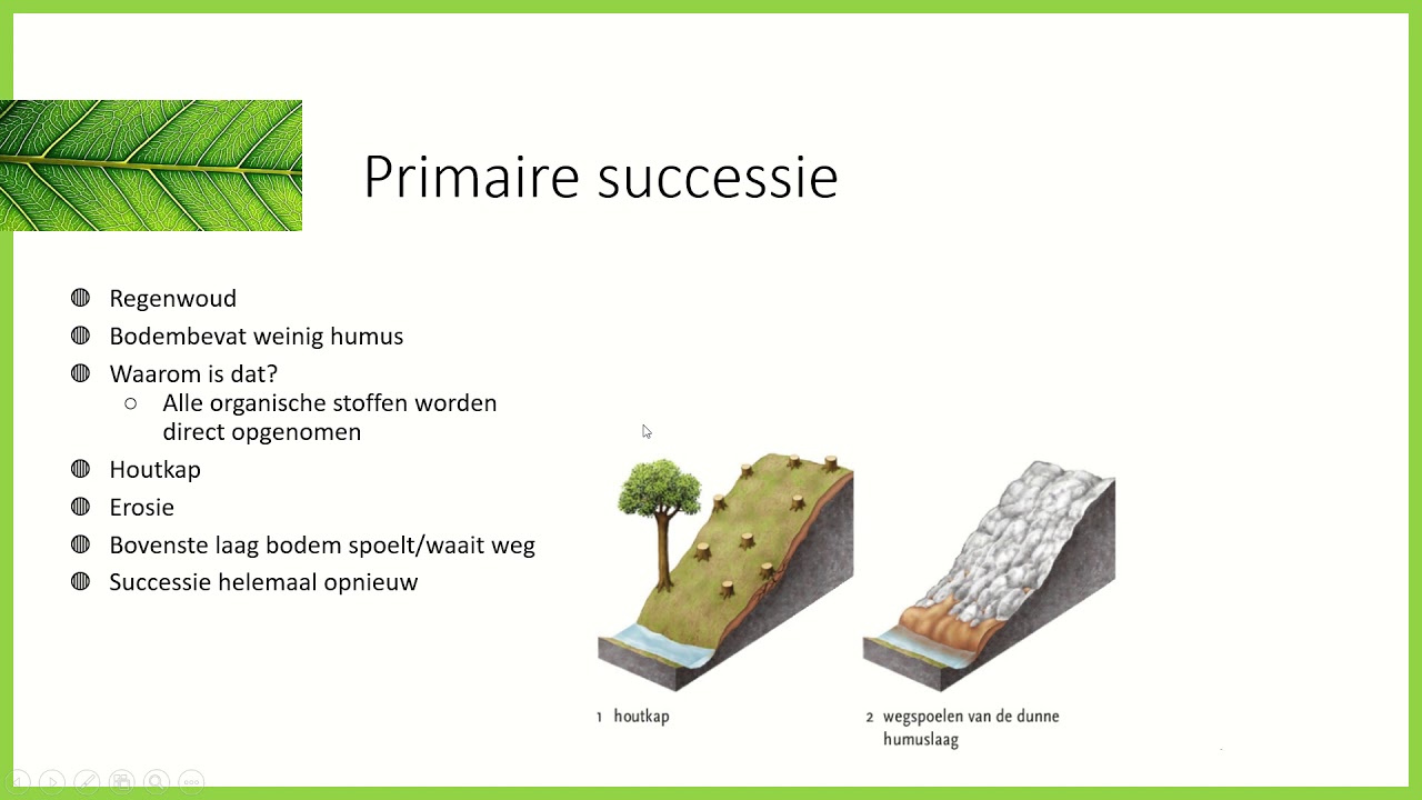 Veranderingen in ecosystemen