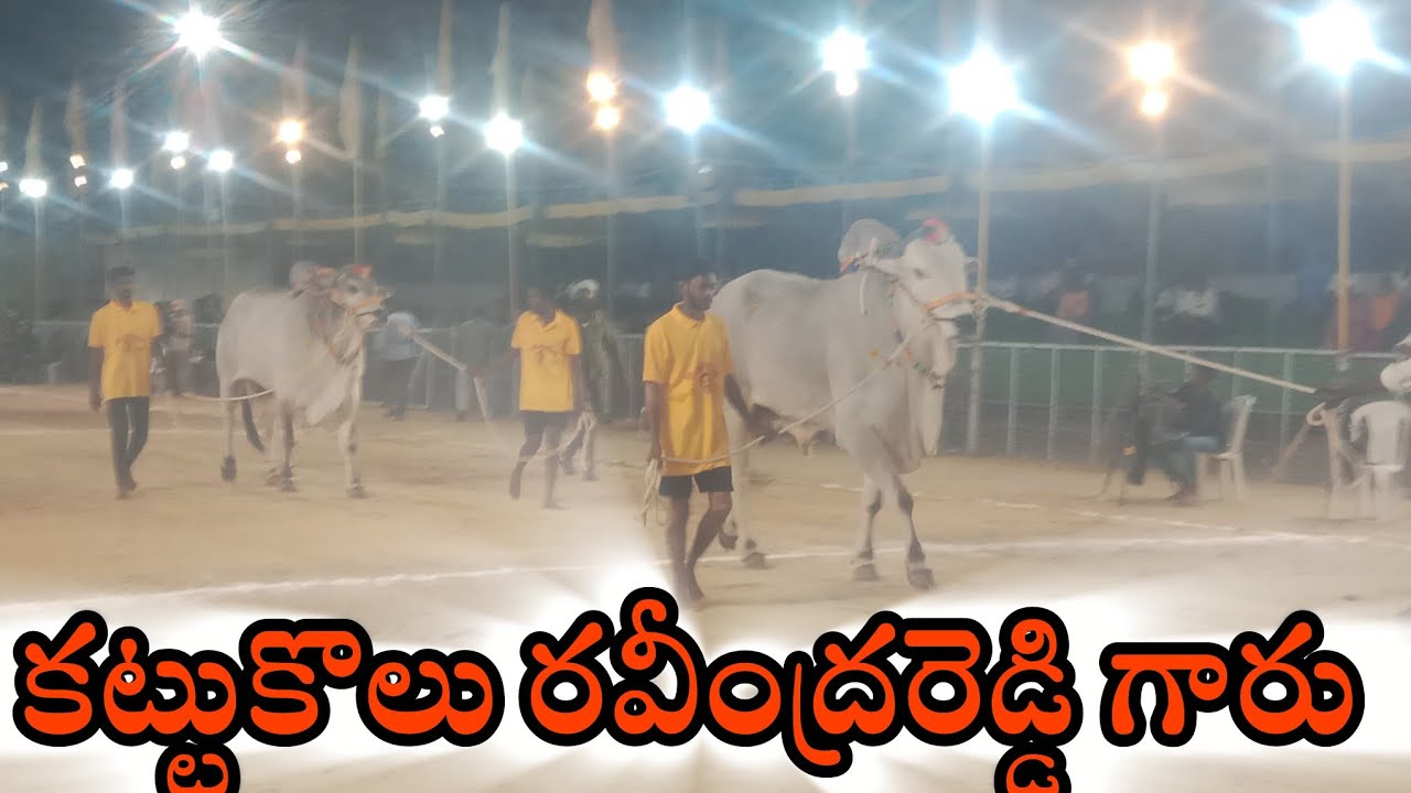 చిలకలూరిపేట  సబ్  జూనియర్స 8వ  కట్టుకోలు  రవీంద్రరెడ్డి గారు  కంకిపాడు కృష్ణ జిల్లా