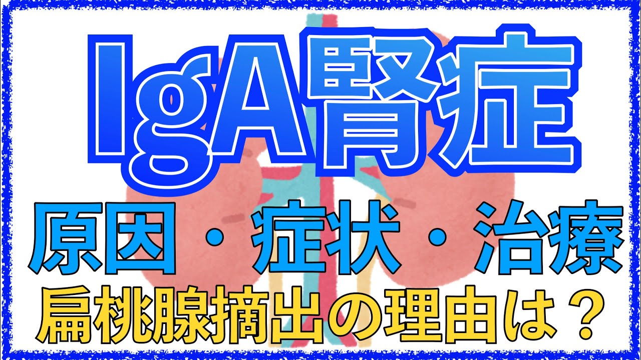 教科書をわかりやすく！「IgA腎症とは？」原因・症状・治療を解説！扁桃腺摘出を行うのはなぜ？