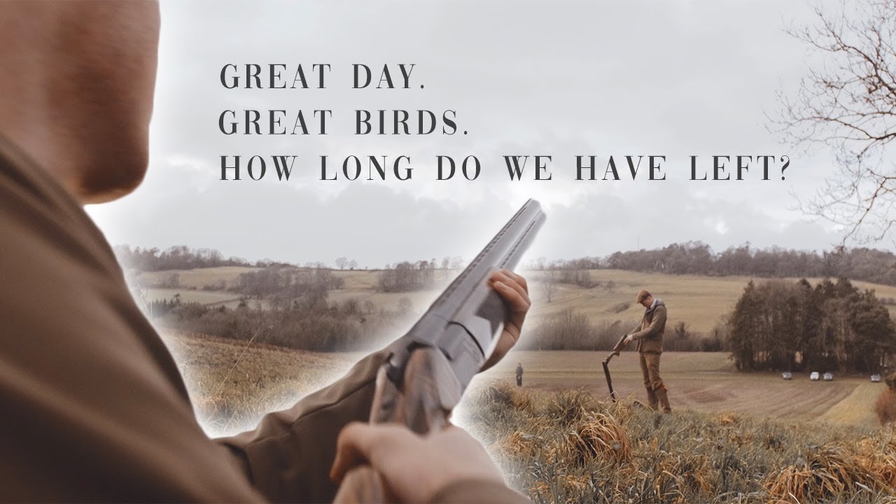 Moving Game Shooting Forward | Under Dorset Birds