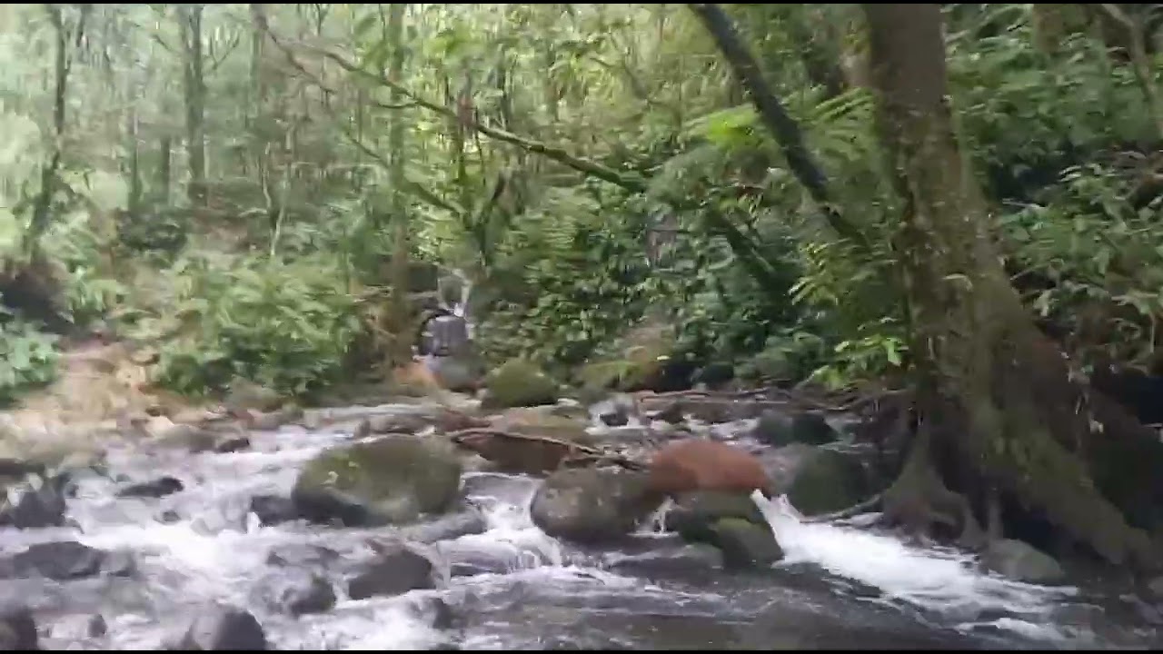Amazing 8 water falls of Pacol Falls brgy Alimatoc Cadiz City