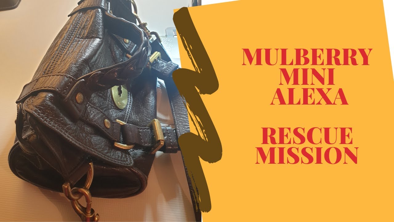 Rescuing Mulberry Alexa Mini bag review and organiser Made by Moria