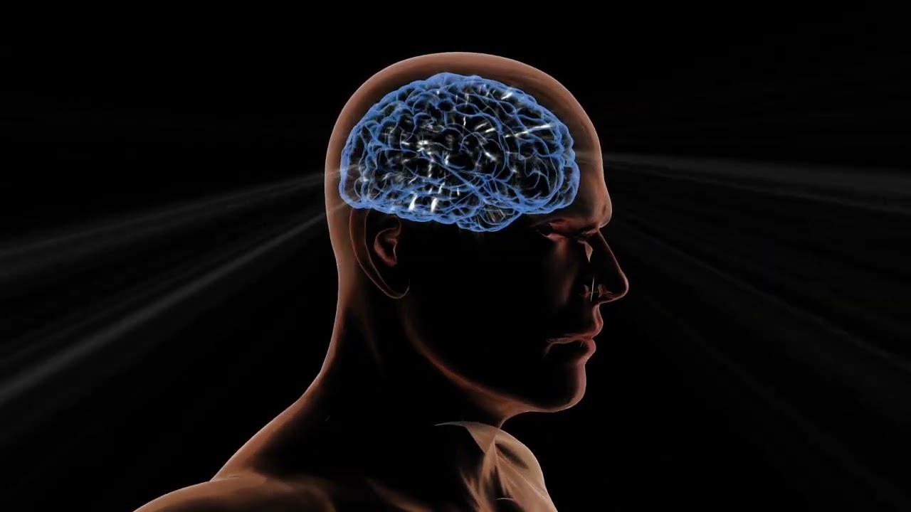 What Is The Difference Between Brain And Computer