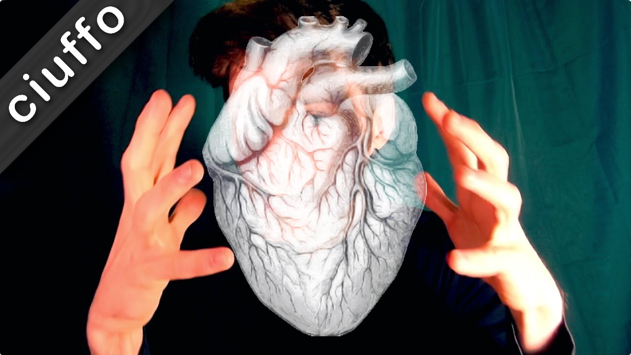 Il CUORE in Anatomia