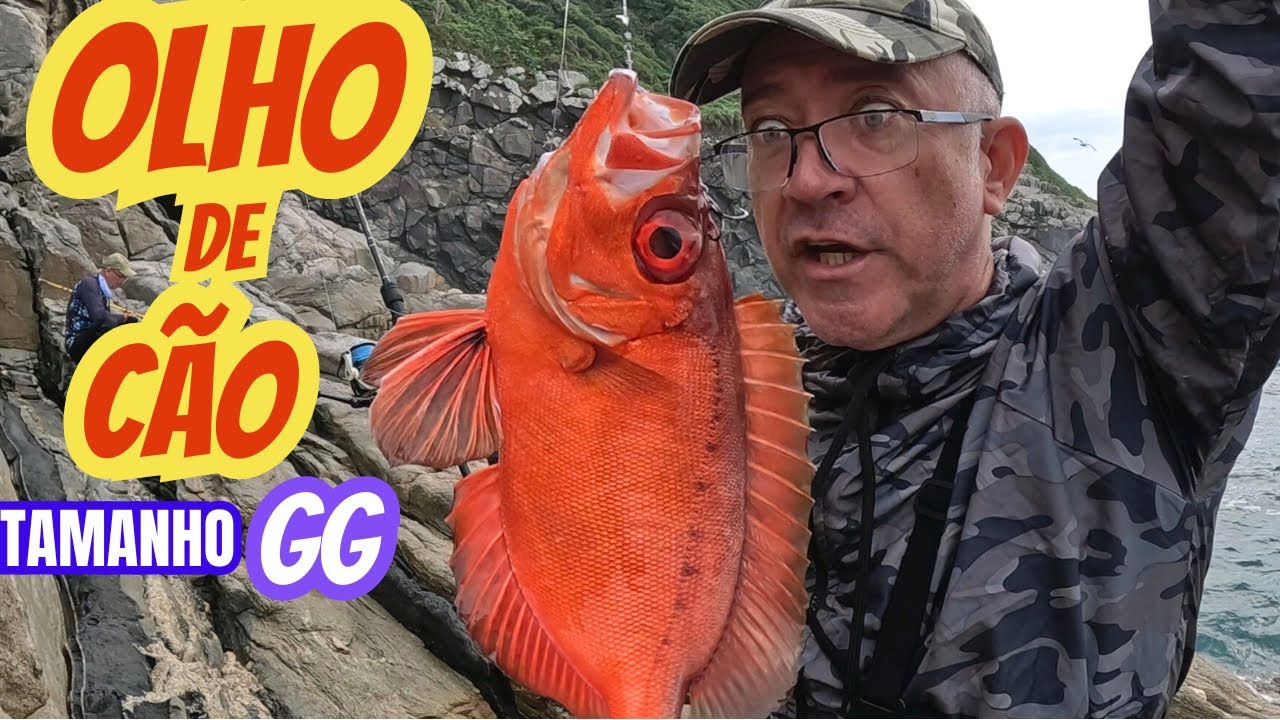 SÓ OLHO DE CÃO GG na PESCARIA COSTEIRA com JIG METAL #fishing #fish #pesca #pescaria #pescador