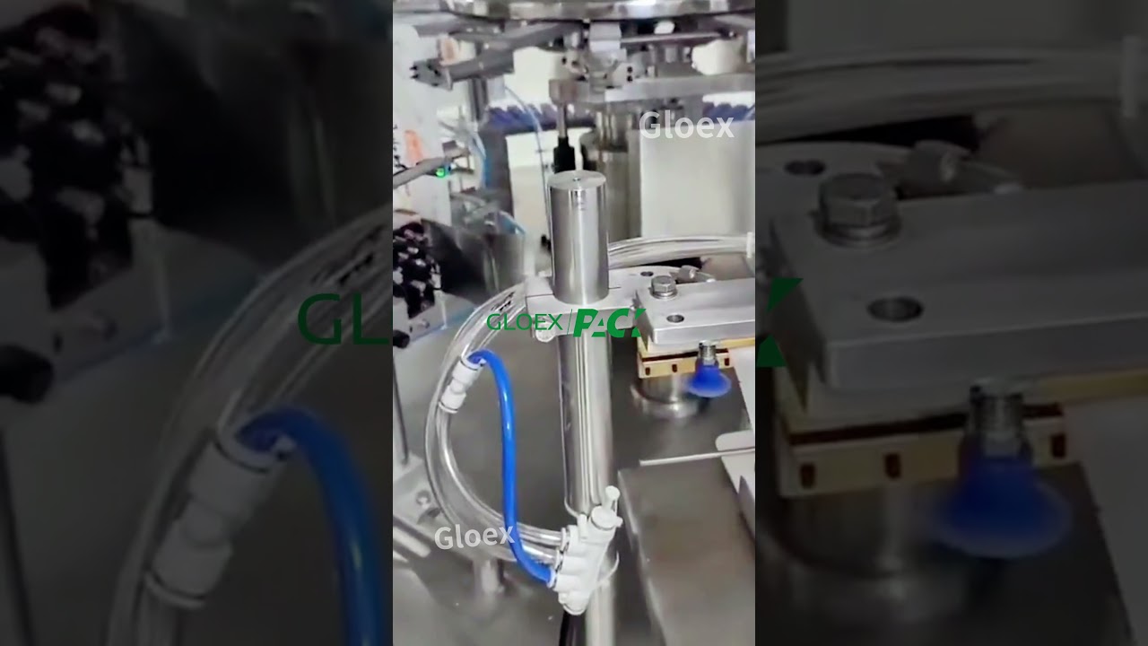 GPS-S-0111-Frozen Dumplings Bag Packing Machine