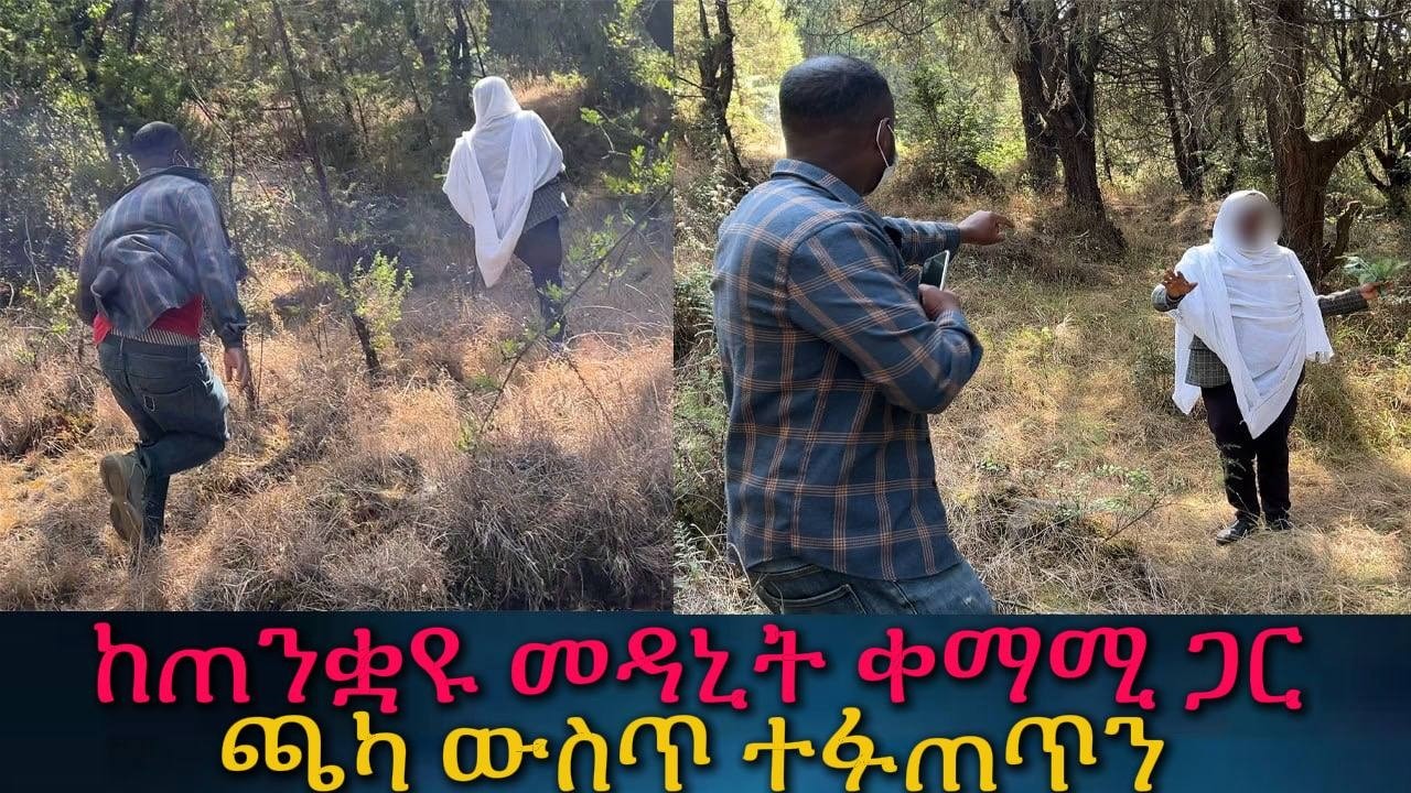 ከጫካው አትወጣም እዚው ደርቀክ ትቀራለክ። ያልታሰበ ችግር ውስጥ ገባን