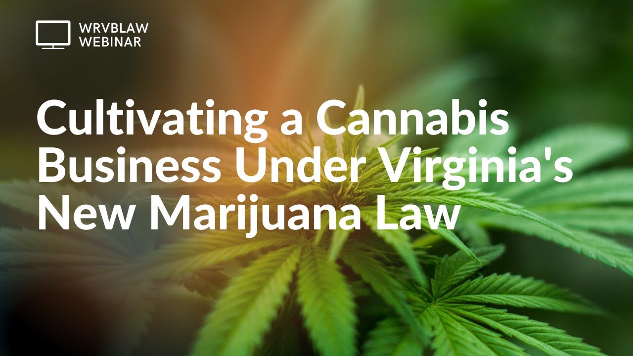 How to Start a Cannabis Business Under Virginia&rsquo;s New Marijuana Law