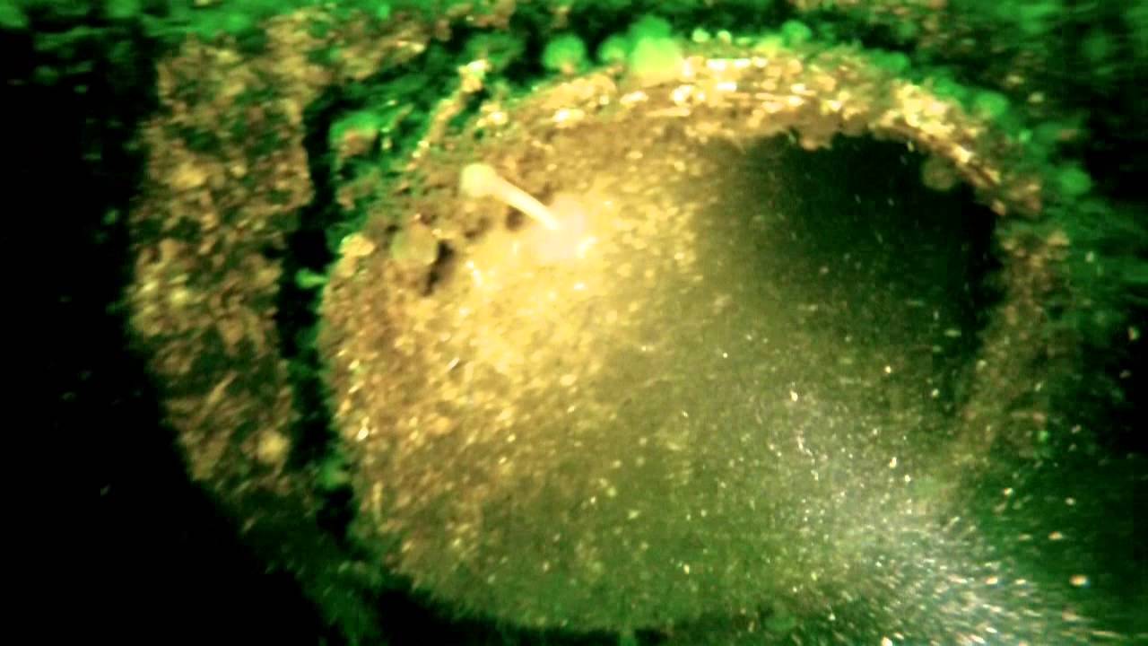 Wracktauchen S103 Ostsee Deutsches Schnellboot