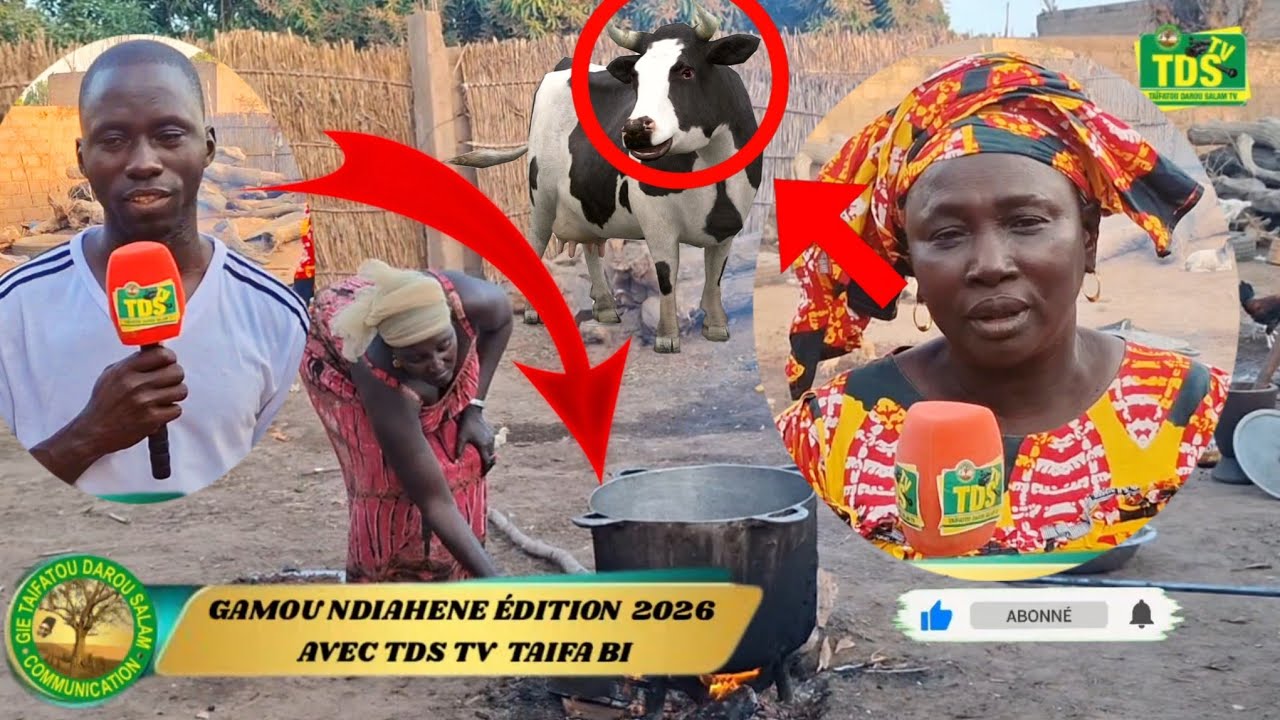 Gamou Ndaihene Édition 2026 Ak  Bernde yi Gamou Gui Nékhon na 😁