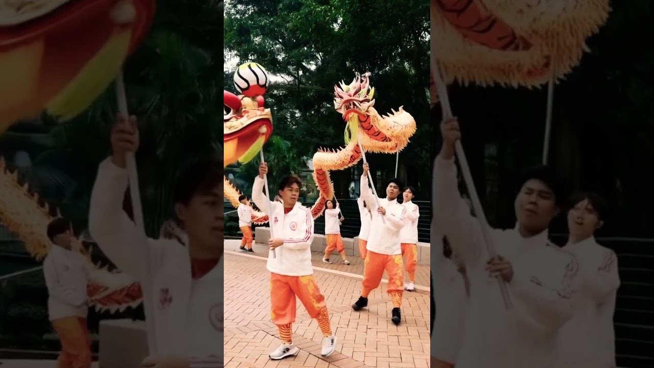 Dragon Boat Dance Spectacular - Rhythms of Tradition & Power ! #dragonboatfestival #dancevideo #cny