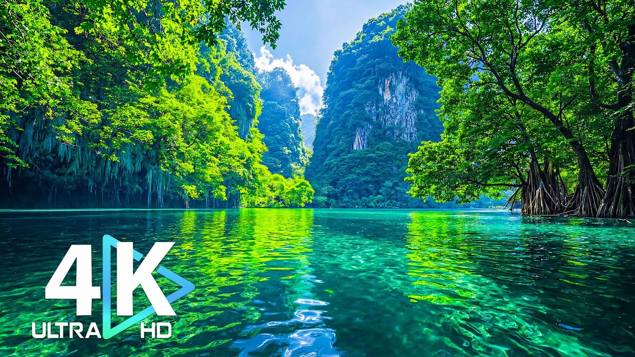 The Emerald Awakening | Restore Your Nervous System 🌿 4K UHD Cinematic Nature Film
